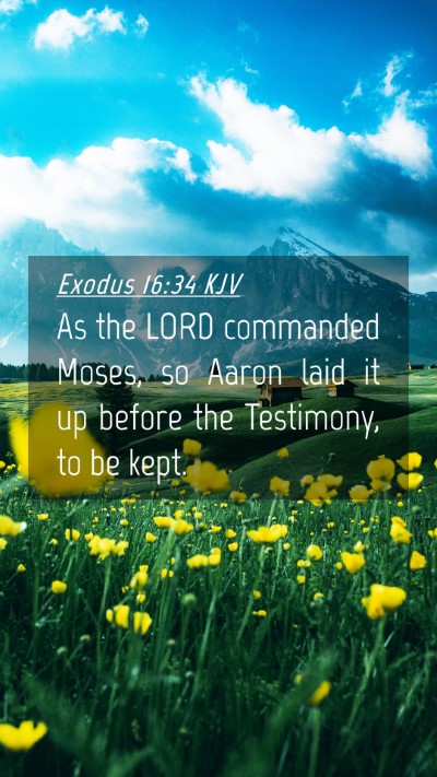 Picture 04 - Exodus 16:34 KJV Mobile Phone Wallpaper - As the LORD commanded Moses, so Aaron laid it up - Mobile Bible Verse Wallpaper