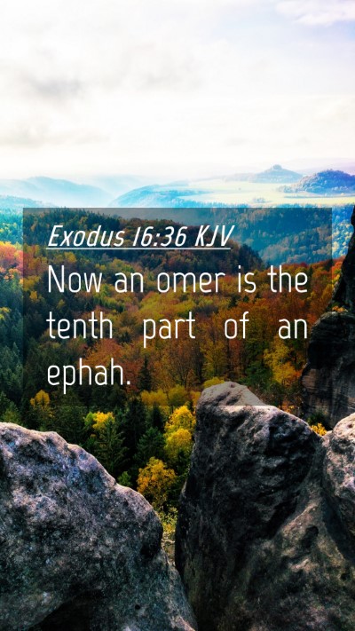 Picture 04 - Exodus 16:36 KJV Mobile Phone Wallpaper - Now an omer is the tenth part of an - Mobile Bible Verse Wallpaper