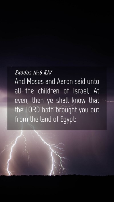Picture 04 - Exodus 16:6 KJV Mobile Phone Wallpaper - And Moses and Aaron said unto all the children of - Mobile Bible Verse Wallpaper