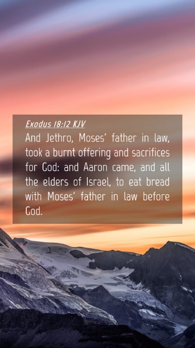 Picture 04 - Exodus 18:12 KJV Mobile Phone Wallpaper - And Jethro, Moses' father in law, took a burnt - Mobile Bible Verse Wallpaper