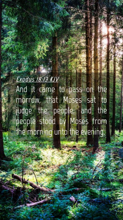 Picture 04 - Exodus 18:13 KJV Mobile Phone Wallpaper - And it came to pass on the morrow, that Moses sat - Mobile Bible Verse Wallpaper