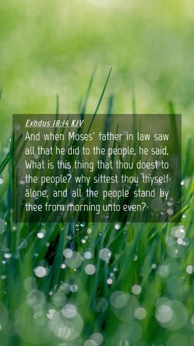 Picture 04 - Exodus 18:14 KJV Mobile Phone Wallpaper - And when Moses' father in law saw all that he did - Mobile Bible Verse Wallpaper