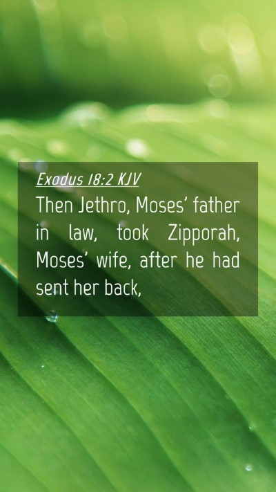 Picture 04 - Exodus 18:2 KJV Mobile Phone Wallpaper - Then Jethro, Moses' father in law, took Zipporah, - Mobile Bible Verse Wallpaper