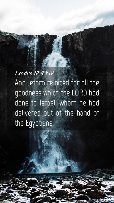 Picture 04 - Exodus 18:9 KJV Mobile Phone Wallpaper - And Jethro rejoiced for all the goodness which - Mobile Bible Verse Wallpaper