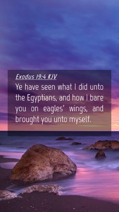 Picture 04 - Exodus 19:4 KJV Mobile Phone Wallpaper - Ye have seen what I did unto the Egyptians, and - Mobile Bible Verse Wallpaper