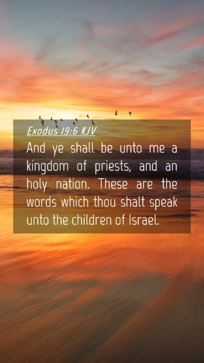 Picture 04 - Exodus 19:6 KJV Mobile Phone Wallpaper - And ye shall be unto me a kingdom of priests, and - Mobile Bible Verse Wallpaper