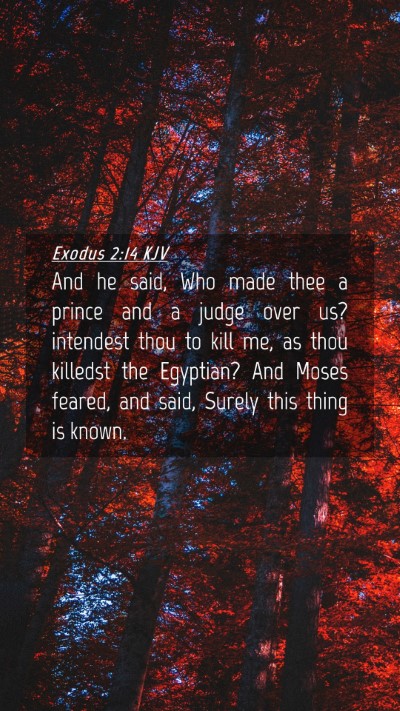 Picture 04 - Exodus 2:14 KJV Mobile Phone Wallpaper - And he said, Who made thee a prince and a judge - Mobile Bible Verse Wallpaper