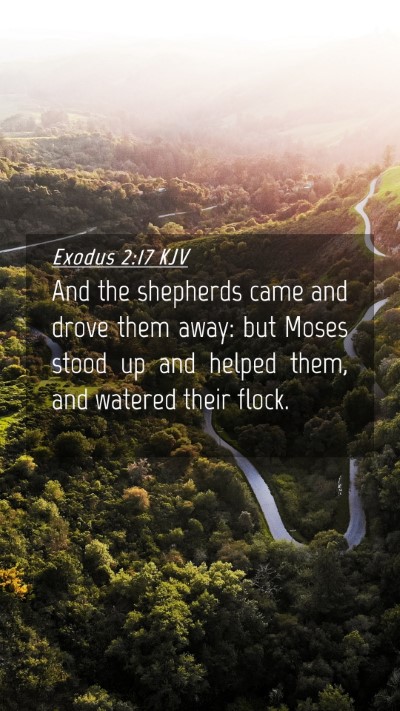 Picture 04 - Exodus 2:17 KJV Mobile Phone Wallpaper - And the shepherds came and drove them away: but - Mobile Bible Verse Wallpaper