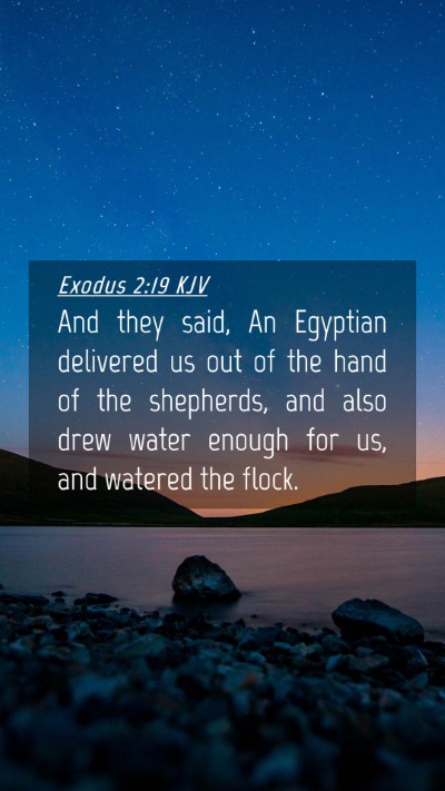 Picture 04 - Exodus 2:19 KJV Mobile Phone Wallpaper - And they said, An Egyptian delivered us out of - Mobile Bible Verse Wallpaper