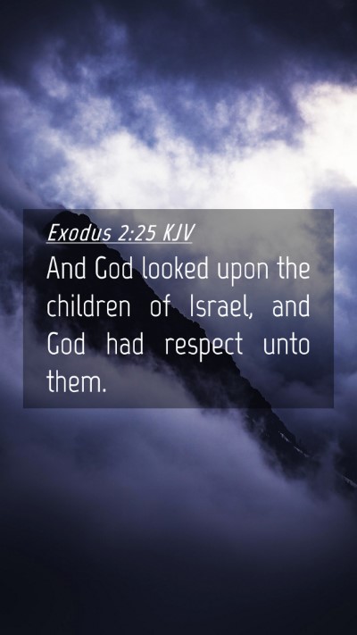 Picture 04 - Exodus 2:25 KJV Mobile Phone Wallpaper - And God looked upon the children of Israel, and - Mobile Bible Verse Wallpaper