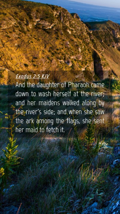 Picture 04 - Exodus 2:5 KJV Mobile Phone Wallpaper - And the daughter of Pharaoh came down to wash - Mobile Bible Verse Wallpaper