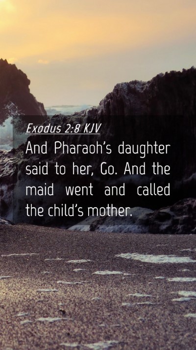 Picture 04 - Exodus 2:8 KJV Mobile Phone Wallpaper - And Pharaoh's daughter said to her, Go. And the - Mobile Bible Verse Wallpaper