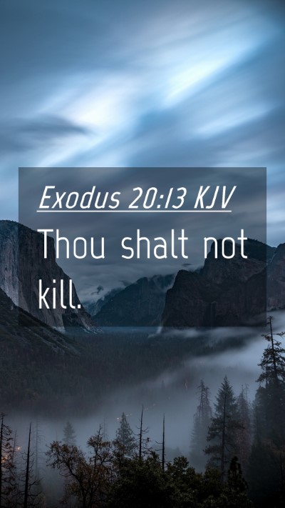 Picture 04 - Exodus 20:13 KJV Mobile Phone Wallpaper - Thou shalt not - Mobile Bible Verse Wallpaper
