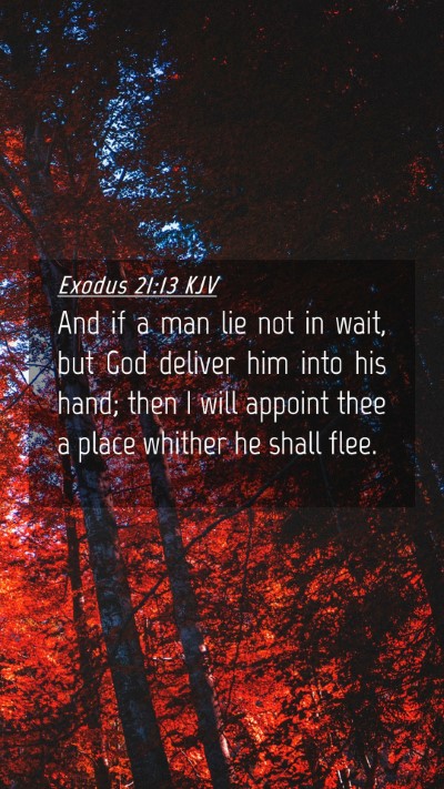 Picture 04 - Exodus 21:13 KJV Mobile Phone Wallpaper - And if a man lie not in wait, but God deliver him - Mobile Bible Verse Wallpaper