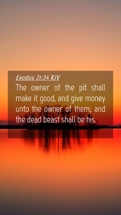 Picture 04 - Exodus 21:34 KJV Mobile Phone Wallpaper - The owner of the pit shall make it good, and give - Mobile Bible Verse Wallpaper