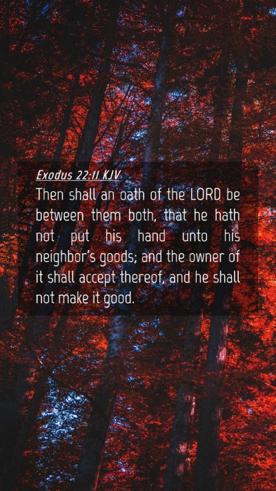 Picture 04 - Exodus 22:11 KJV Mobile Phone Wallpaper - Then shall an oath of the LORD be between them - Mobile Bible Verse Wallpaper