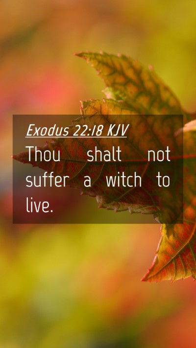 Picture 04 - Exodus 22:18 KJV Mobile Phone Wallpaper - Thou shalt not suffer a witch to - Mobile Bible Verse Wallpaper