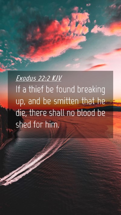 Picture 04 - Exodus 22:2 KJV Mobile Phone Wallpaper - If a thief be found breaking up, and be smitten - Mobile Bible Verse Wallpaper