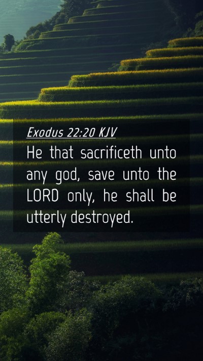 Picture 04 - Exodus 22:20 KJV Mobile Phone Wallpaper - He that sacrificeth unto any god, save unto the - Mobile Bible Verse Wallpaper