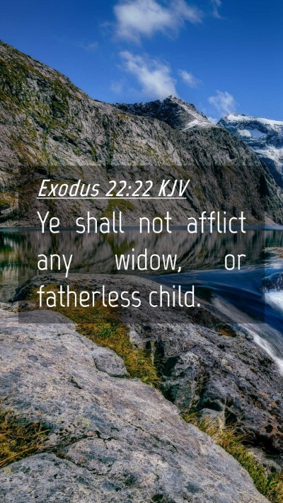 Picture 04 - Exodus 22:22 KJV Mobile Phone Wallpaper - Ye shall not afflict any widow, or fatherless - Mobile Bible Verse Wallpaper