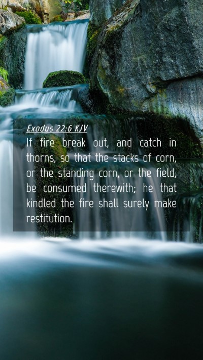 Picture 04 - Exodus 22:6 KJV Mobile Phone Wallpaper - If fire break out, and catch in thorns, so that - Mobile Bible Verse Wallpaper