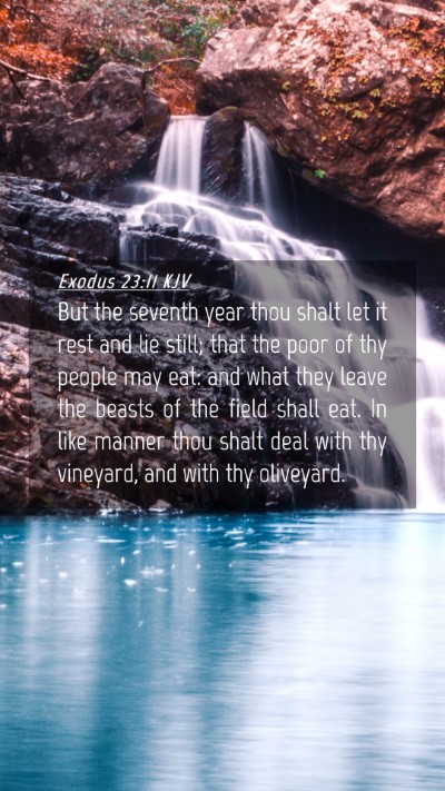 Picture 04 - Exodus 23:11 KJV Mobile Phone Wallpaper - But the seventh year thou shalt let it rest and - Mobile Bible Verse Wallpaper