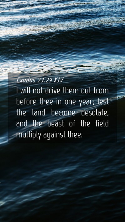 Picture 04 - Exodus 23:29 KJV Mobile Phone Wallpaper - I will not drive them out from before thee in one - Mobile Bible Verse Wallpaper