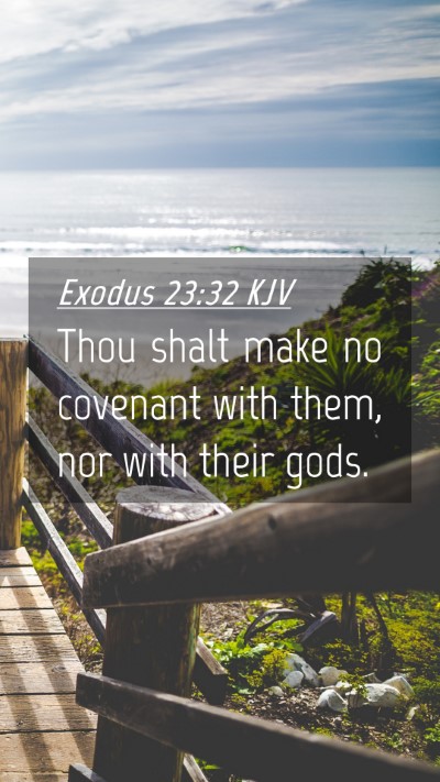 Picture 04 - Exodus 23:32 KJV Mobile Phone Wallpaper - Thou shalt make no covenant with them, nor with - Mobile Bible Verse Wallpaper