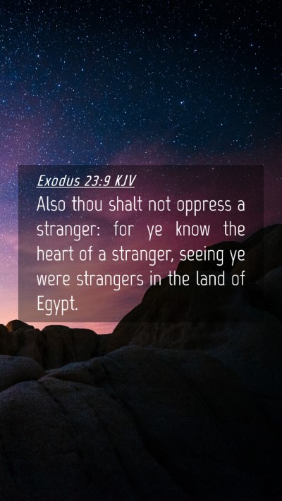 Picture 04 - Exodus 23:9 KJV Mobile Phone Wallpaper - Also thou shalt not oppress a stranger: for ye - Mobile Bible Verse Wallpaper