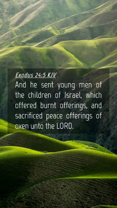 Picture 04 - Exodus 24:5 KJV Mobile Phone Wallpaper - And he sent young men of the children of Israel, - Mobile Bible Verse Wallpaper
