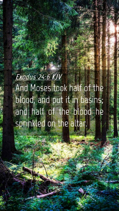 Picture 04 - Exodus 24:6 KJV Mobile Phone Wallpaper - And Moses took half of the blood, and put it in - Mobile Bible Verse Wallpaper