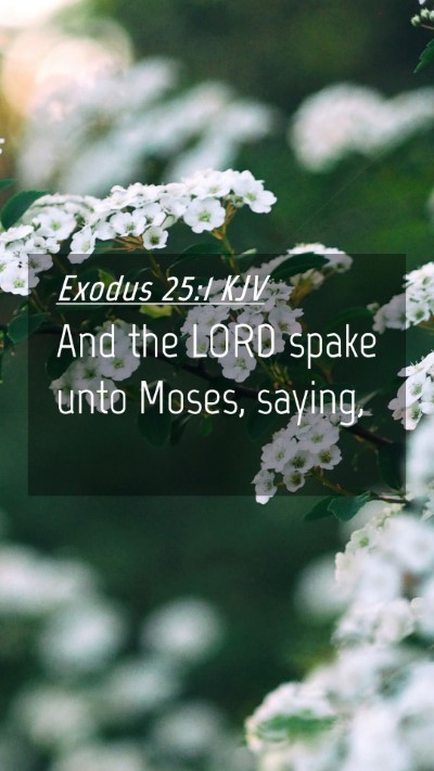 Picture 04 - Exodus 25:1 KJV Mobile Phone Wallpaper - And the LORD spake unto Moses, - Mobile Bible Verse Wallpaper