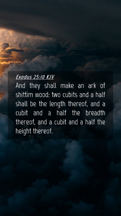 Picture 04 - Exodus 25:10 KJV Mobile Phone Wallpaper - And they shall make an ark of shittim wood: two - Mobile Bible Verse Wallpaper