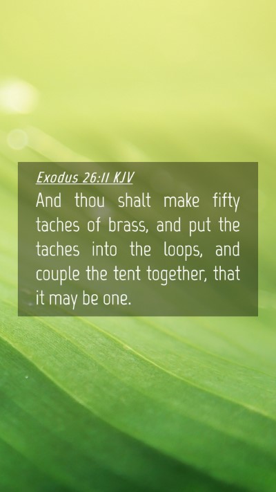 Picture 04 - Exodus 26:11 KJV Mobile Phone Wallpaper - And thou shalt make fifty taches of brass, and - Mobile Bible Verse Wallpaper