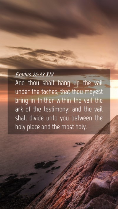 Picture 04 - Exodus 26:33 KJV Mobile Phone Wallpaper - And thou shalt hang up the vail under the taches, - Mobile Bible Verse Wallpaper