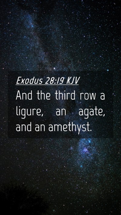 Picture 04 - Exodus 28:19 KJV Mobile Phone Wallpaper - And the third row a ligure, an agate, and an - Mobile Bible Verse Wallpaper
