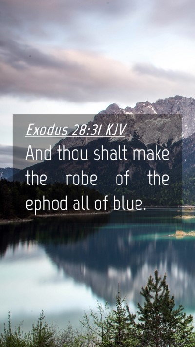 Picture 04 - Exodus 28:31 KJV Mobile Phone Wallpaper - And thou shalt make the robe of the ephod all of - Mobile Bible Verse Wallpaper