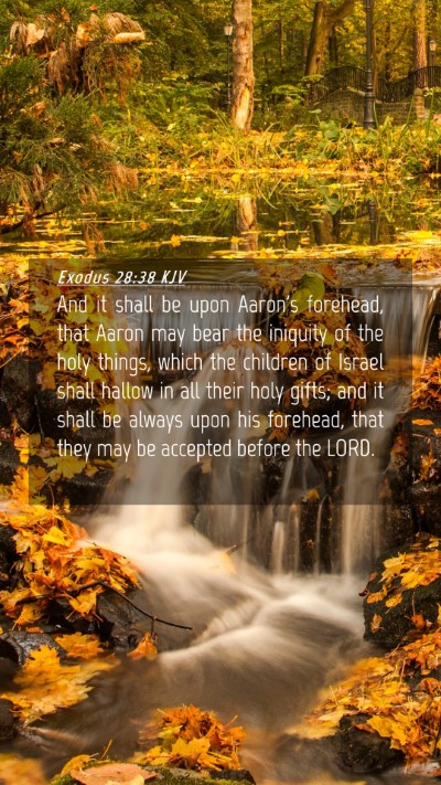 Picture 04 - Exodus 28:38 KJV Mobile Phone Wallpaper - And it shall be upon Aaron's forehead, that Aaron - Mobile Bible Verse Wallpaper