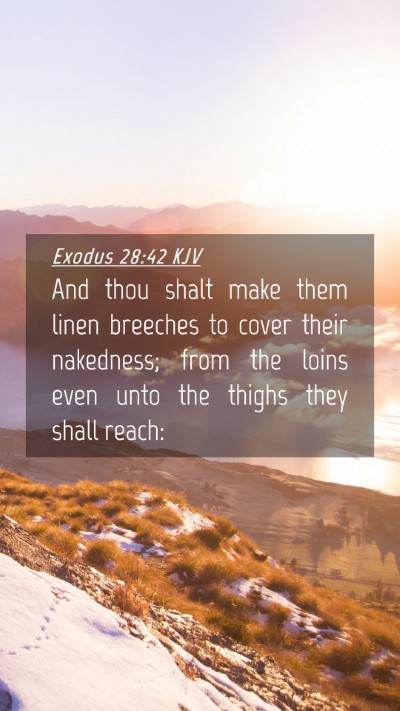 Picture 04 - Exodus 28:42 KJV Mobile Phone Wallpaper - And thou shalt make them linen breeches to cover - Mobile Bible Verse Wallpaper