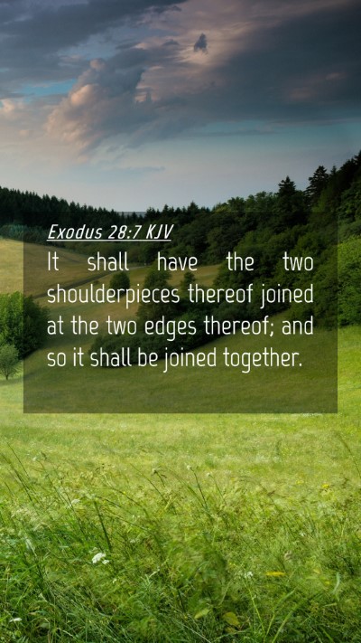 Picture 04 - Exodus 28:7 KJV Mobile Phone Wallpaper - It shall have the two shoulderpieces thereof - Mobile Bible Verse Wallpaper
