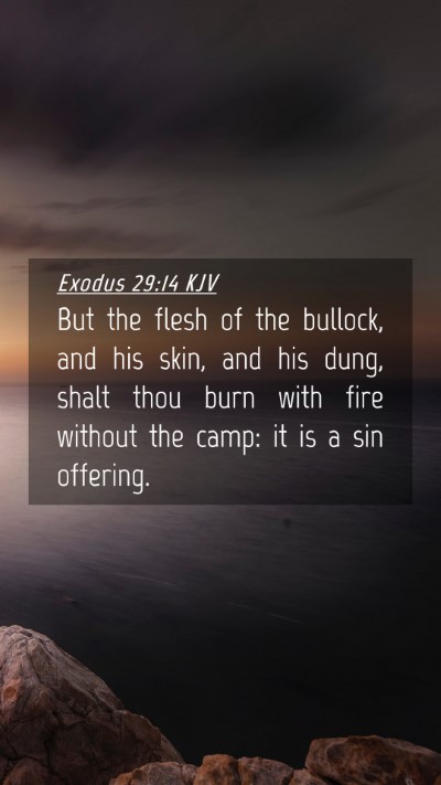 Picture 04 - Exodus 29:14 KJV Mobile Phone Wallpaper - But the flesh of the bullock, and his skin, and - Mobile Bible Verse Wallpaper