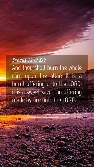 Picture 04 - Exodus 29:18 KJV Mobile Phone Wallpaper - And thou shalt burn the whole ram upon the altar: - Mobile Bible Verse Wallpaper