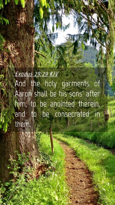Picture 04 - Exodus 29:29 KJV Mobile Phone Wallpaper - And the holy garments of Aaron shall be his sons' - Mobile Bible Verse Wallpaper