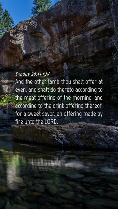 Picture 04 - Exodus 29:41 KJV Mobile Phone Wallpaper - And the other lamb thou shalt offer at even, and - Mobile Bible Verse Wallpaper