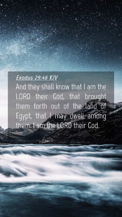 Picture 04 - Exodus 29:46 KJV Mobile Phone Wallpaper - And they shall know that I am the LORD their God, - Mobile Bible Verse Wallpaper