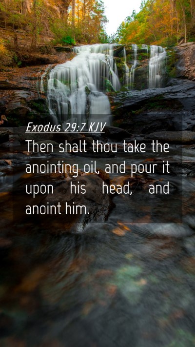 Picture 04 - Exodus 29:7 KJV Mobile Phone Wallpaper - Then shalt thou take the anointing oil, and pour - Mobile Bible Verse Wallpaper