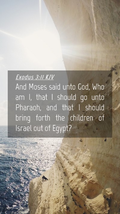 Picture 04 - Exodus 3:11 KJV Mobile Phone Wallpaper - And Moses said unto God, Who am I, that I should - Mobile Bible Verse Wallpaper