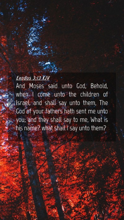 Picture 04 - Exodus 3:13 KJV Mobile Phone Wallpaper - And Moses said unto God, Behold, when I come unto - Mobile Bible Verse Wallpaper