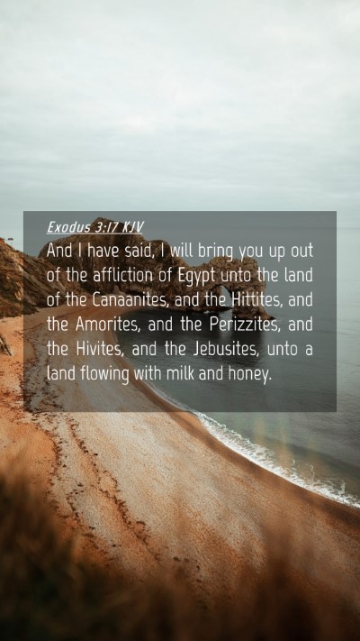 Picture 04 - Exodus 3:17 KJV Mobile Phone Wallpaper - And I have said, I will bring you up out of the - Mobile Bible Verse Wallpaper