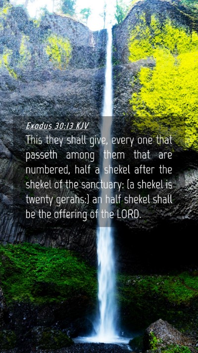 Picture 04 - Exodus 30:13 KJV Mobile Phone Wallpaper - This they shall give, every one that passeth - Mobile Bible Verse Wallpaper